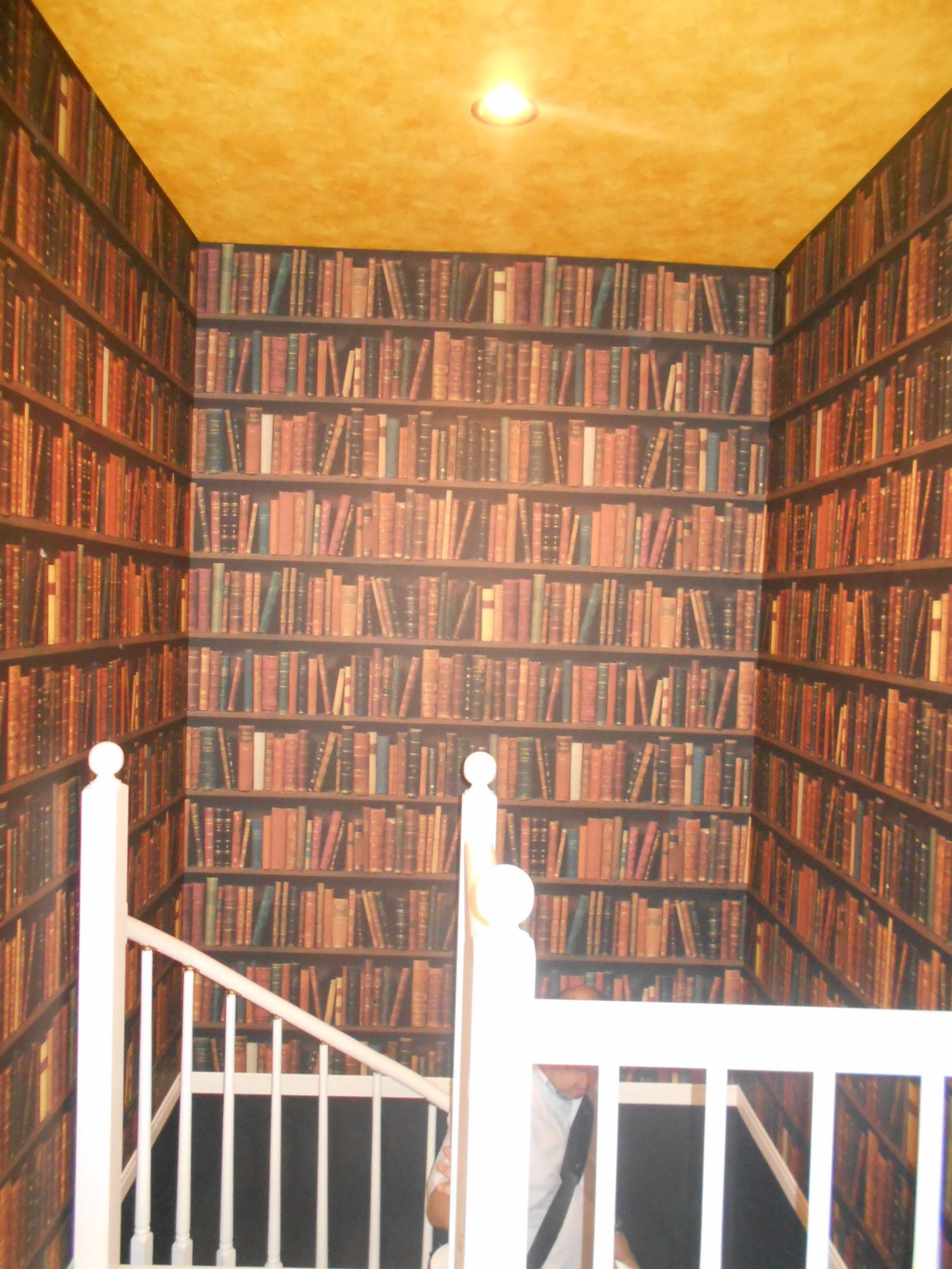 ジャングルエンタープライズの事務所の階段の壁紙